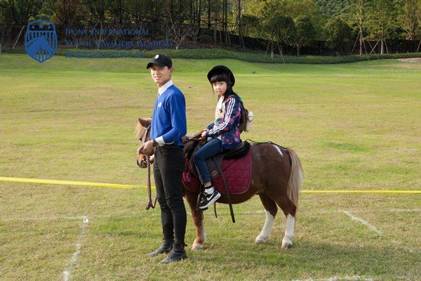 骑乘是什么意思