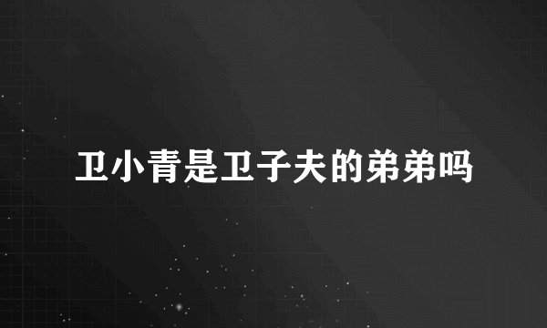 卫小青是卫子夫的弟弟吗