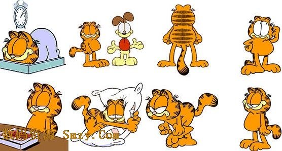 菊花教的常用语