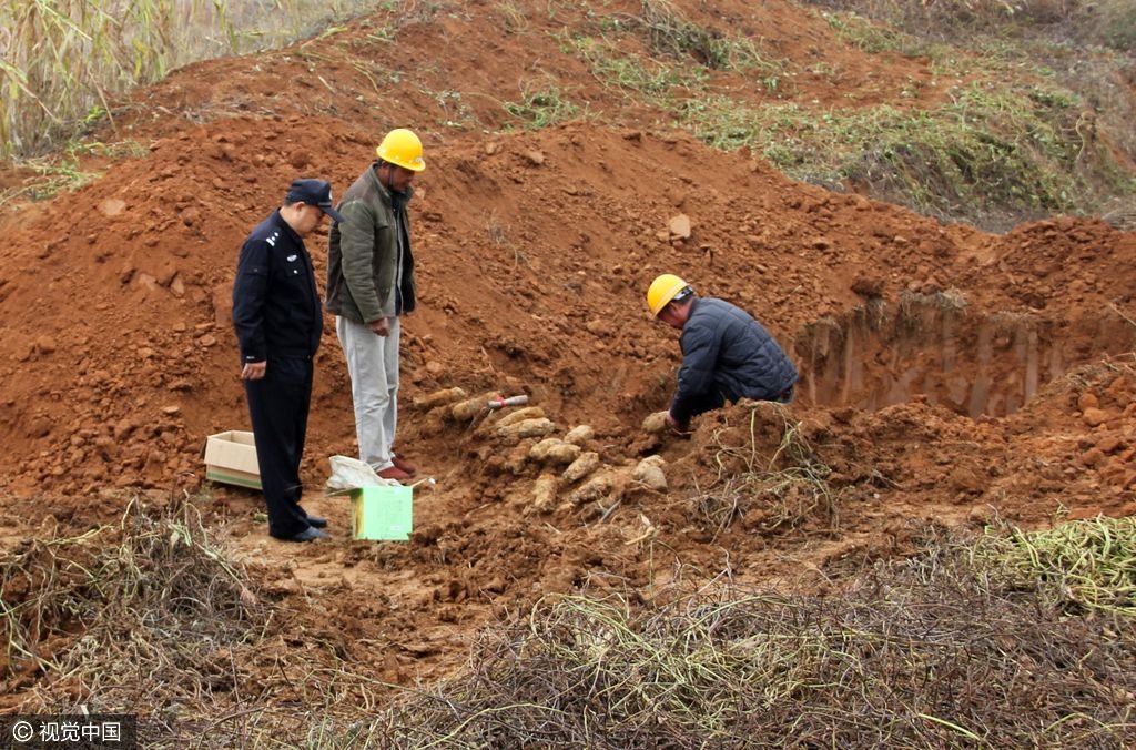 黑龙江村民挖16枚炮弹，挖到炮弹该怎么办？
