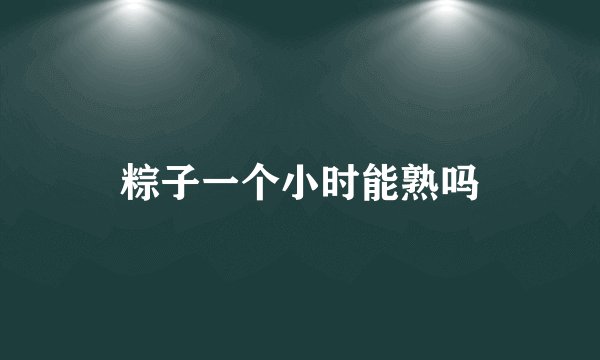 粽子一个小时能熟吗