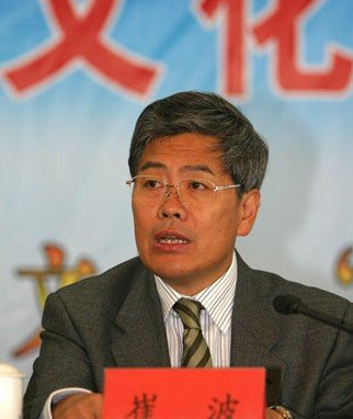 崔波的人物履历