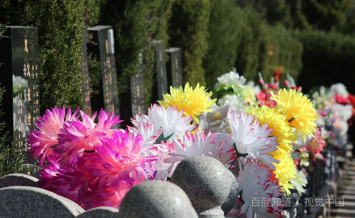 你觉得清明代理扫墓算不算对传统的抛弃呢？