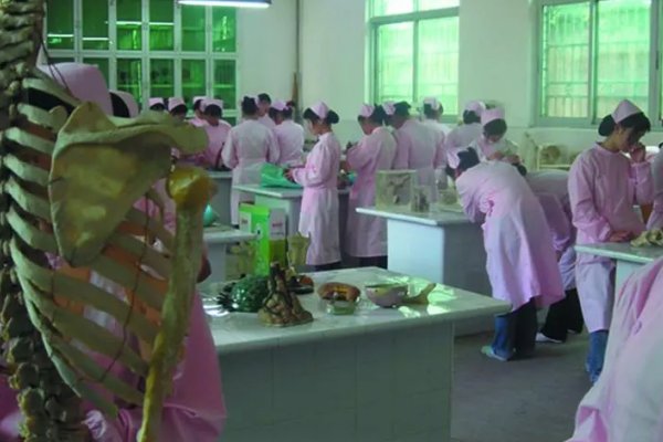 卫校的分数线是多少？