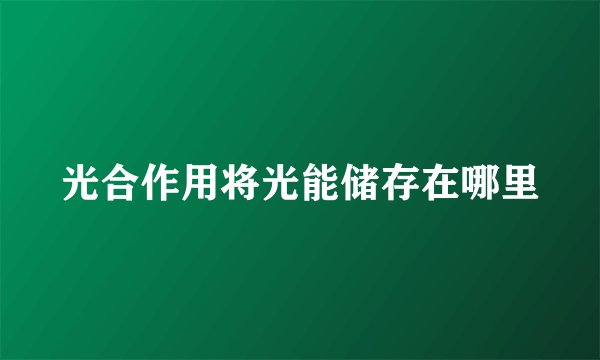 光合作用将光能储存在哪里