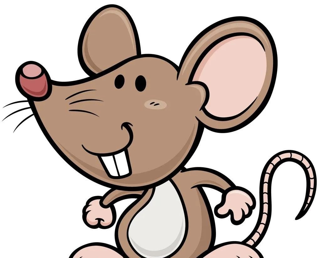 高校回应老鼠在食品架子上乱跑！具体是如何回应的？