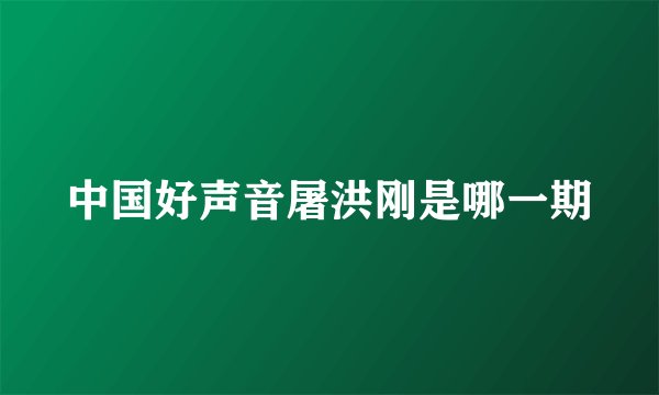 中国好声音屠洪刚是哪一期