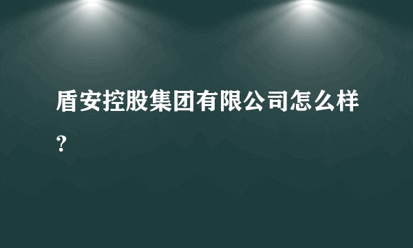 盾安控股集团有限公司怎么样？