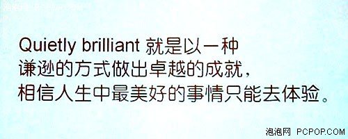 guietly brilliant什么意