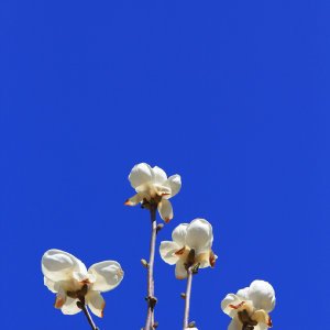 贺贵元的个人简介