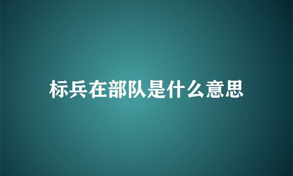 标兵在部队是什么意思