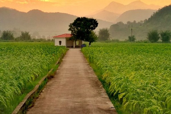 坪坝的意思解释