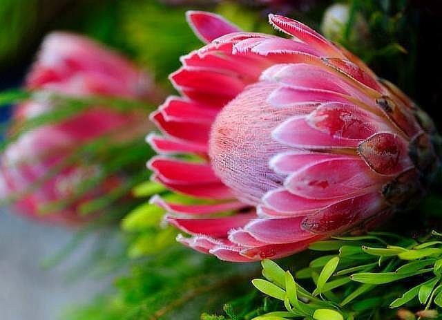 已经拥有哪几样东西的中年人，说明他非龙即凤？