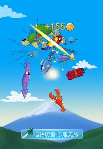 钓鱼忍者的介绍