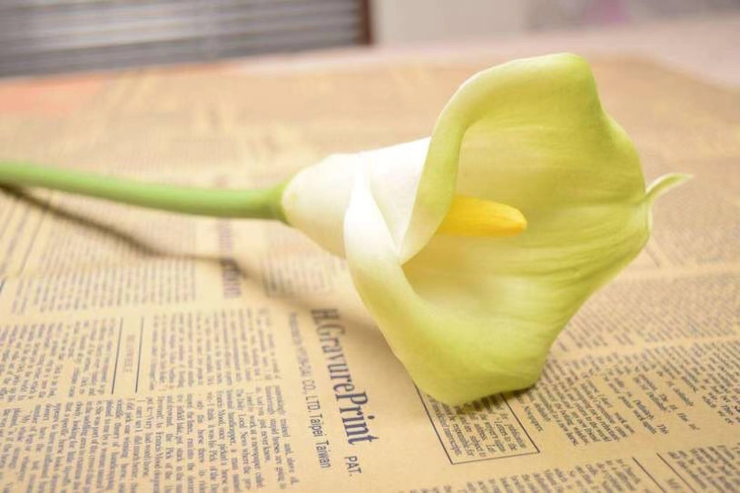 蹄拼音组词部首