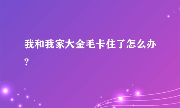 我和我家大金毛卡住了怎么办?