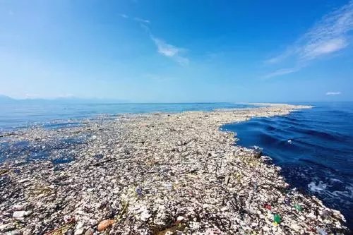 如何看待瑞典环保少女态度含糊回应日本事件？