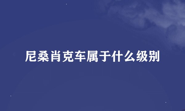 尼桑肖克车属于什么级别