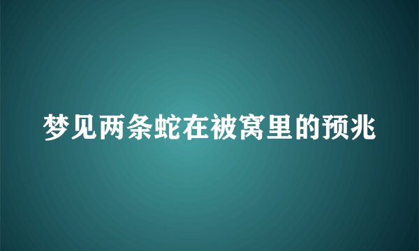 梦见两条蛇在被窝里的预兆