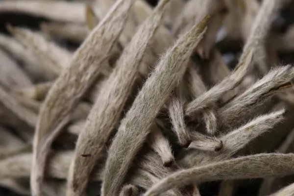 白毫之赐的成语解释及意思