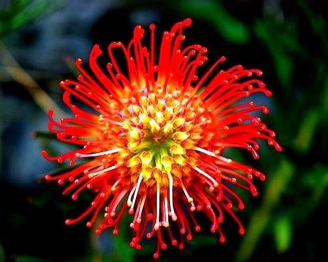 已经拥有哪几样东西的中年人，说明他非龙即凤？