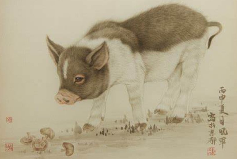 分星掰两指什么动物