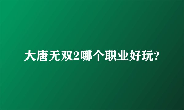 大唐无双2哪个职业好玩?