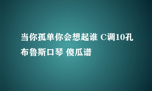 当你孤单你会想起谁 C调10孔布鲁斯口琴 傻瓜谱