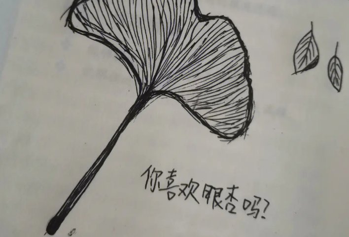 你喜欢银杏吗什么意思?