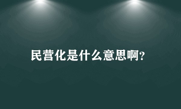 民营化是什么意思啊？