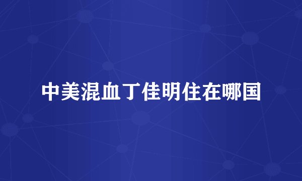 中美混血丁佳明住在哪国