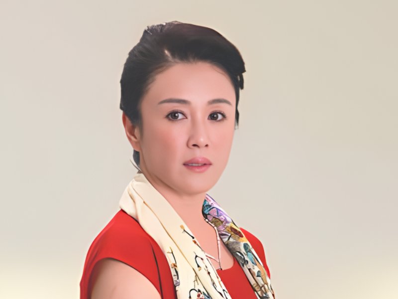 傅艺伟演的电视剧