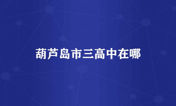 葫芦岛市三高中在哪