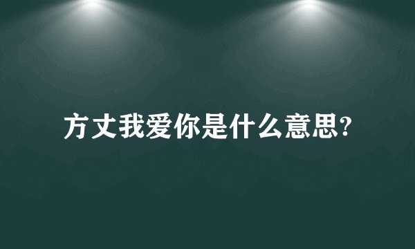方丈我爱你是什么意思?