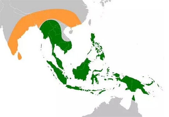 毁灭种子的基本信息