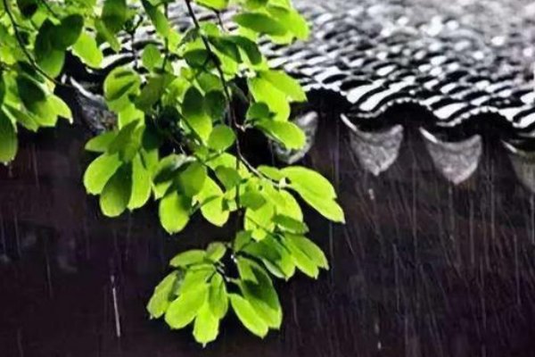 黄梅时节家家雨下一句