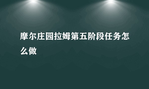 摩尔庄园拉姆第五阶段任务怎么做