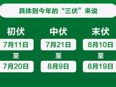 今年进伏是几月几日