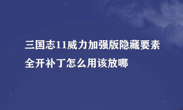 三国志11威力加强版隐藏要素全开补丁怎么用该放哪