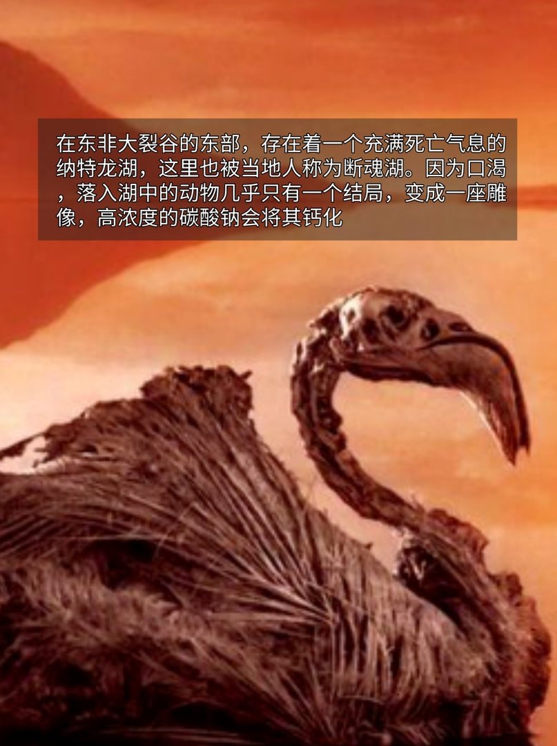 超乎想象的地球奇观