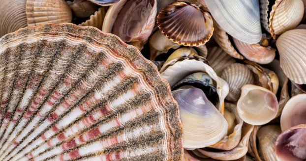 海滩上有什么？