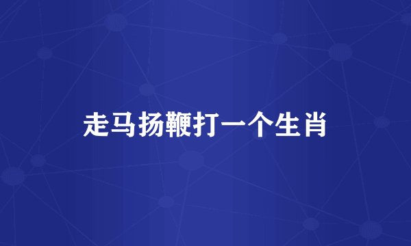 走马扬鞭打一个生肖