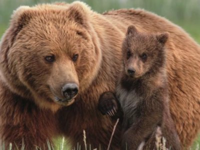 母亲带四个孩子是一种什么样的体验呢？