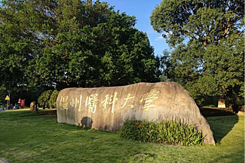 2023年温州医科大学浙江分专业录取分数线