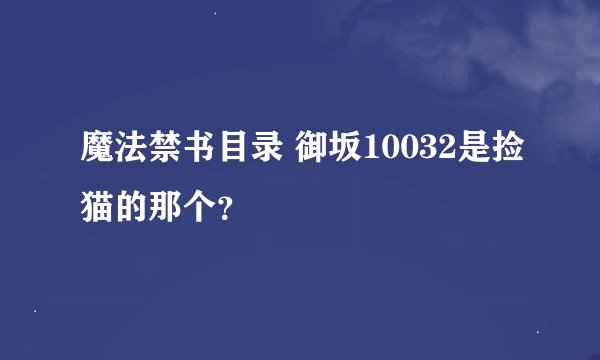 魔法禁书目录 御坂10032是捡猫的那个？