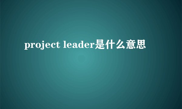 project leader是什么意思