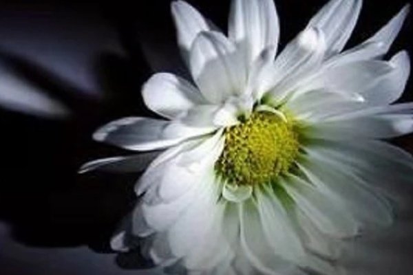 廖梓豪去世原因