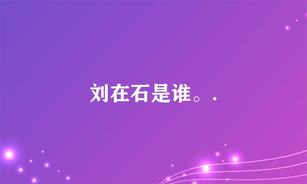 刘在石是谁。.