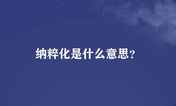 纳粹化是什么意思？