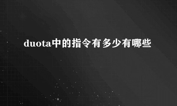 duota中的指令有多少有哪些